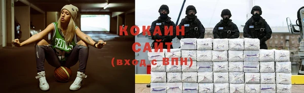 сатива Богданович