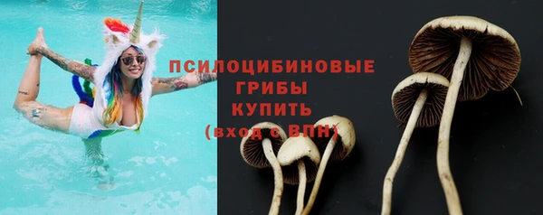 ешки Богородск