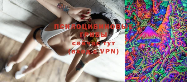 сатива Богданович