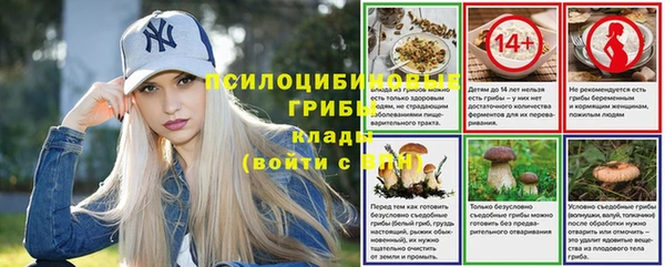 ешки Богородск