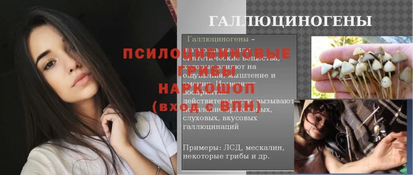 эйфоретик Богородицк